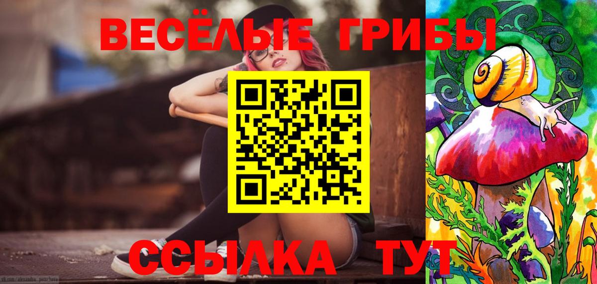 Псилоцибиновые грибы Psilocybe Черногорск