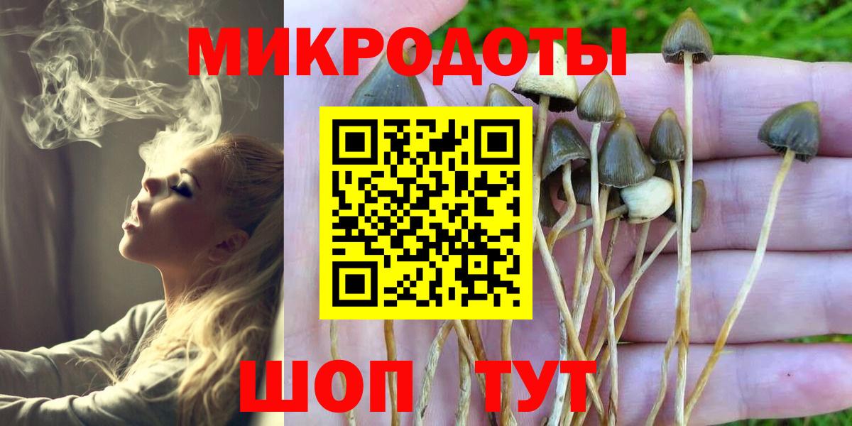 Галлюциногенные грибы GOLDEN TEACHER  Псилоцибиновые грибы прущие грибы  Вход с VPN  Черногорск 